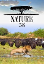 Season 38 poster