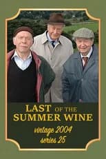 Series 25 poster