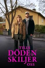 Miniseries poster