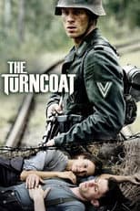 Miniseries poster