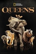 Miniseries poster