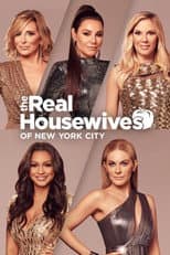 Season 13 poster