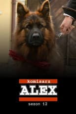 Season 12 poster