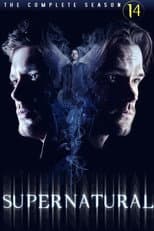 Season 14 poster