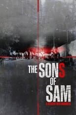 Limited Series poster