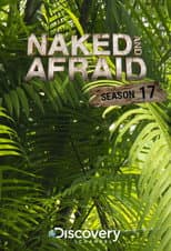 Season 17 poster