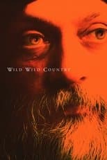 Limited Series poster
