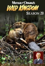 Season 20 poster