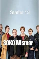 Season 13 poster