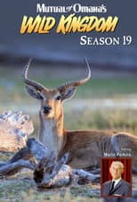 Season 19 poster