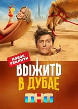 Survive in Dubai poster