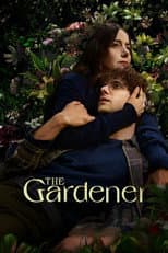 Limited Series poster