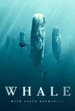 Miniseries poster