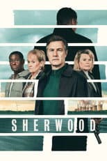 Series 2 poster
