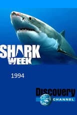 1994 poster