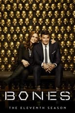 Season 11 poster