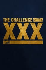 XXX: Dirty Thirty poster