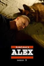 Season 9 poster
