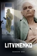 Miniseries poster