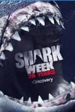2013 poster