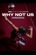UMES Volleyball poster