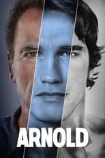 Limited Series poster