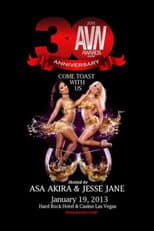 30th AVN Awards poster