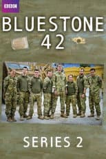 Series 2 poster