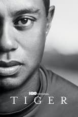 Miniseries poster