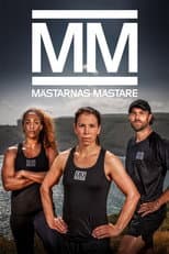 Season 17 poster