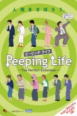 The Perfect Extension poster
