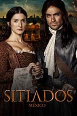 Miniseries poster