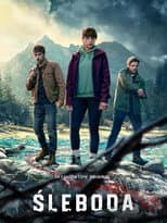 Limited Series poster