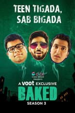 Baked - The Bad Trip poster