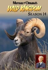 Season 14 poster