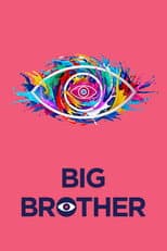 Big Brother 7 poster