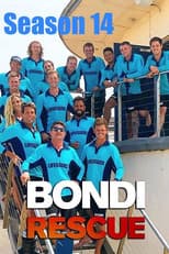Season 14 poster