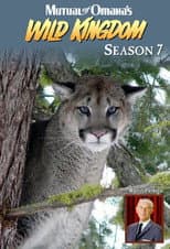 Season 7 poster