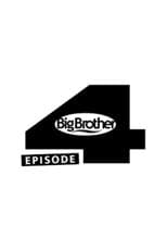Big Brother 4 poster