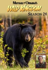 Season 24 poster