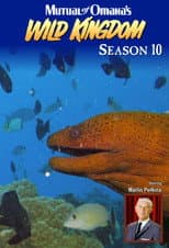 Season 10 poster