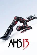 13 poster
