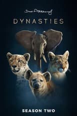 Dynasties II poster