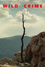 Murder in the Rocky Mountains poster