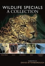 The wildlife specials season 1 poster