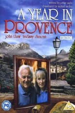 Miniseries poster