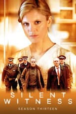 Series 13 poster