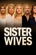 Season 17 poster