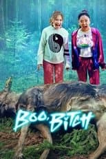 Limited Series poster