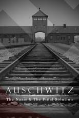 Miniseries poster